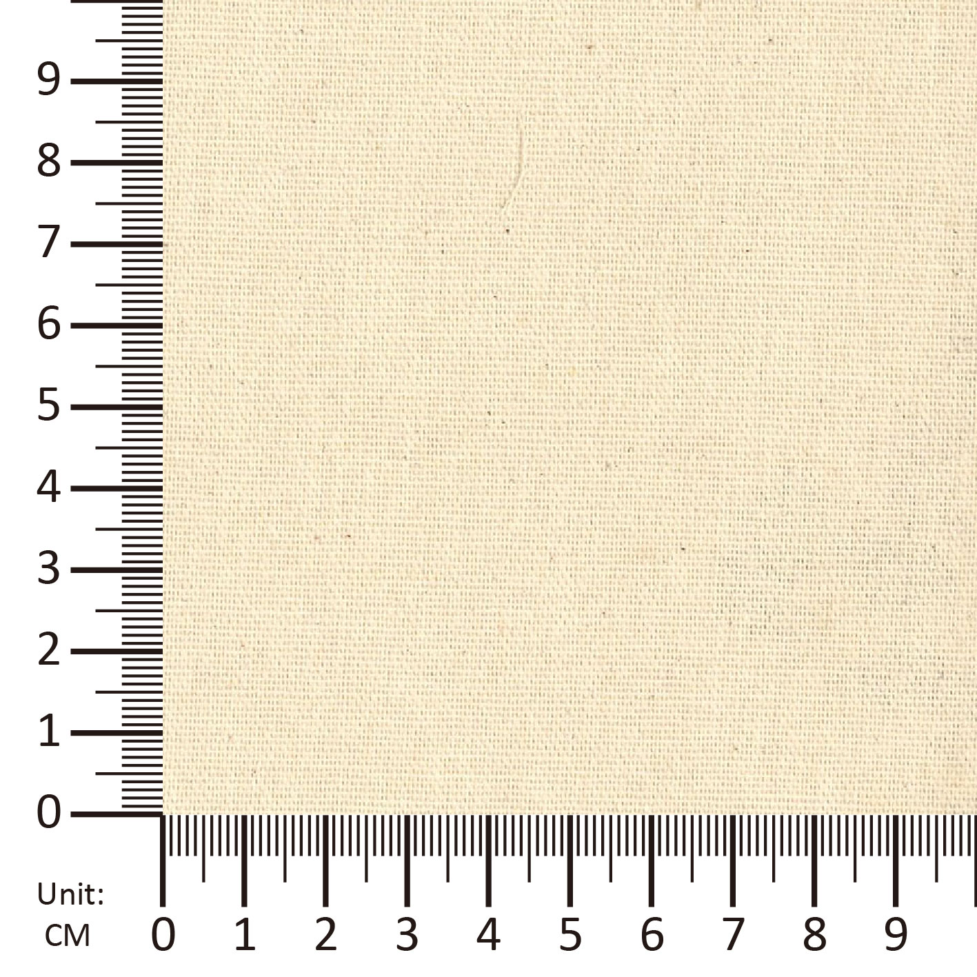 BCI Canvas (scab0601)-image