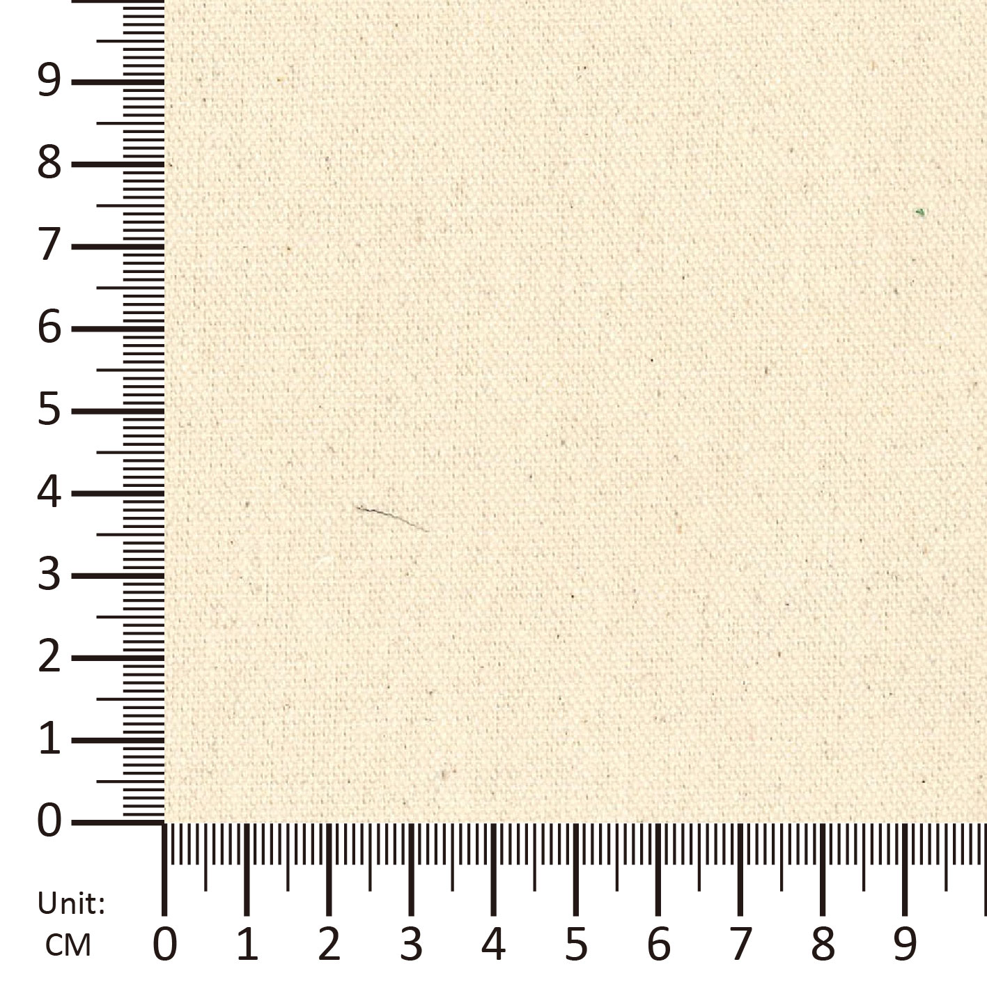 BCI Canvas-image