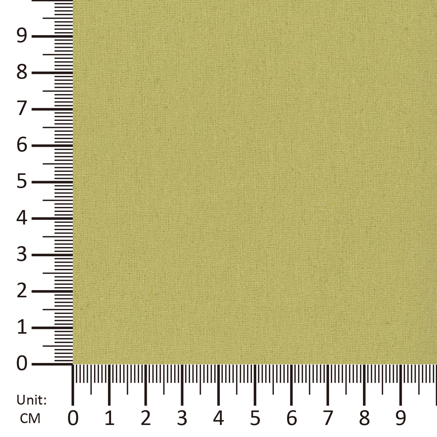 Bamboo Canvas (KS-CA5061PU)-image